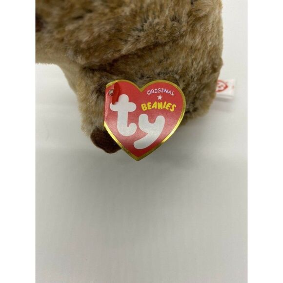 Ty IDA -Brown/Tan/White 6” Beanie Baby Hedgehog! * - Picture 4 of 10